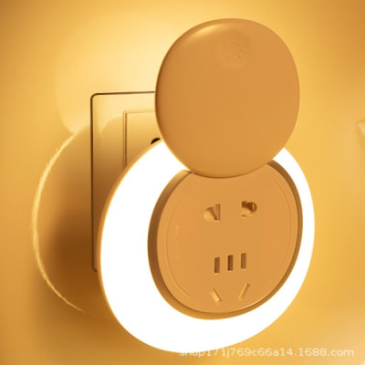 Multinational sensor light with multiple plug